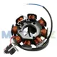 Vista 1 de ALTERNADOR DE 8 BOBINAS COMPATIBLE CON LA CG125/150 | Moto Luz Perú